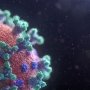 Моноклональні антитіла можуть бути небезпечні для пацієнтів з РС і COVID-19