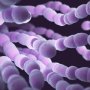 Эксперты оценили вероятность одобрения зифаноциклина для лечения стрептококковой пневмонии