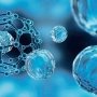 Эффективный контроль диабета: уровень сахара в крови определит анализ слюны