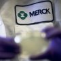 Опубликованы результаты испытаний летермовира (компании MSD) для профилактики цитомегаловирусной инфекции