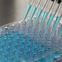 Roche обійшла Sanofi у розвитку інноваційних препаратів для лікування раку молочної залози