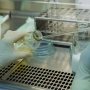 «Дарница» снова подтвердила соответствие и компетентность своих лабораторий критериям аттестации