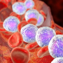 AbbVie зарегистрировала в ЕС антитело для лечения фолликулярной лимфомы