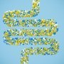 Пробиотики – отличный выбор для лечения диспепсии