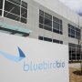 Вирусный вектор в препарате Bluebird Bio может быть небезопасным