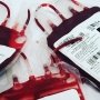 Вченим вдалося виростити еритроцити – це дозволить створити великі запаси рідкісних груп крові