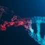 Препарат генной терапии от bluebird bio слишком часто провоцирует рак крови