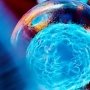 Инновации в лечении инсулинозависимого диабета. В фокусе – имплантат Sernova
