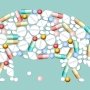 В Украине будет работать новая процедура осуществления ветеринарного фармаконадзора