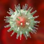 FDA позволило исследовать препарат, устраняющий канцерогенные последствия мононуклеоза