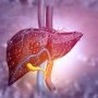 Экспериментальный препарат Akero Therapeutics продемонстрировал эффективность против НАСГ