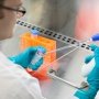 Клеточная терапия предложит новые варианты лечения для пациентов с рассеянным склерозом