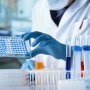 FDA одобрило тест Roche, который улучшит диагностику рака молочной железы