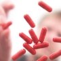 Новый препарат эффективен при распространенной болезни печени