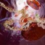 AstraZeneca представила данные по своему новому кардиопрепарату