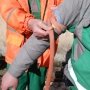 Помощь пострадавшим во время боевых действий: знающий – не беспомощен!