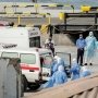 Інфекція з кінця світу: що таке хантавірус і чи повинні ми хвилюватися через «туристичний» спалах?