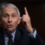Главный инфекционист США заявляет, что не собирается сдавать тест на антитела от коронавируса