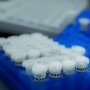 Новий препарат від гліобластоми оцінять у різних терапевтичних умовах