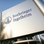 Boehringer Ingelheim прагне зробити собі ім’я в онкології /Boehringer Ingelheim