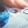 Valneva та Pfizer перенесли реєстрацію вакцини проти хвороби Лайма на 2026 рік