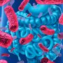 Vedanta Biosciences получит государственное финансирование на разработку пробиотика