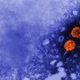 Хронический гепатит B: новые — более агрессивные — рекомендации расширяют терапевтические возможности