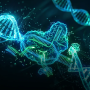 Telomir Pharmaceuticals рассчитывает получить одобрение эпигенетического препарата при агрессивном раке яичников