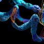 Знайдено новий ключ до лікування орфанних захворювань