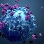 У Sanofi проблеми онкопрепаратом, який вона придбала на додаток із Synthorx