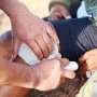 Украинские медики будут работать по обновленным стандартам лечения боевых травм