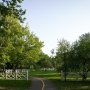 Природа отвадит от табака и алкоголя