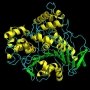 Bayer інвестує в майбутнє білкових препаратів