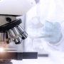 GlaxoSmithKline й iTeos переоцінять можливості свого експериментального онкопрепарату