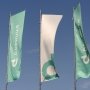 «Дарница» попала в рейтинг топ-30 устойчивых компаний от Forbes /Пресс-служба ЧАО «Фармацевтическая фирма «Дарница»