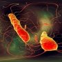 Ингибиторы протонной помпы заподозрили в повышении риска инфекций