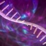 Sanofi утворила колаборацію з Alloy Therapeutics