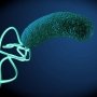 Появились два новых варианта лечения Helicobacter pylori