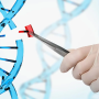 Антисмысловой олигонуклеотид Stoke Therapeutics «растерял» эффективность при анализе испытаний