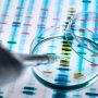 Tune Therapeutics лікуватиме гепатит В шляхом епігенетичних модифікацій