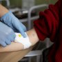 Правительство предлагает усилить ответственность за нарушения в сфере донорства крови /freepik