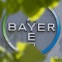 Bayer надеется лечить Nubeqa рак простаты без химиотерапии
