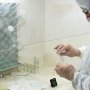 ВООЗ вважає, що поки зарано говорити про масову вакцинацію від віспи мавп. Фото: /Українська правда