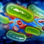Для лікування Helicobacter pylori найбільш рентабельна потрійна терапія з вонопразаном