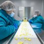 Европейские лидеры фармакоконтроля присоединились к Twinning-проекту в Украине /freepik