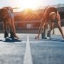 Sandoz и Teva одномоментно выпустили идентичный продукт. Совпадение?