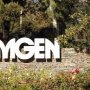 Маленький стартап доработает старый кардиопрепарат Amgen