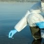 У МОЗ запевняють, що випадків холери в Україні не зафіксовано