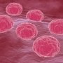 Sanofi создала вакцину против хламидиоза