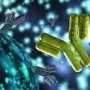 Новий імуномодулятор покращить результати лікування ревматоїдного артриту